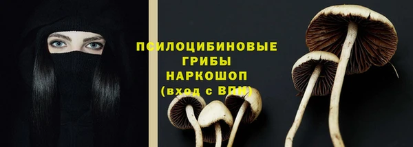 гидра Баксан