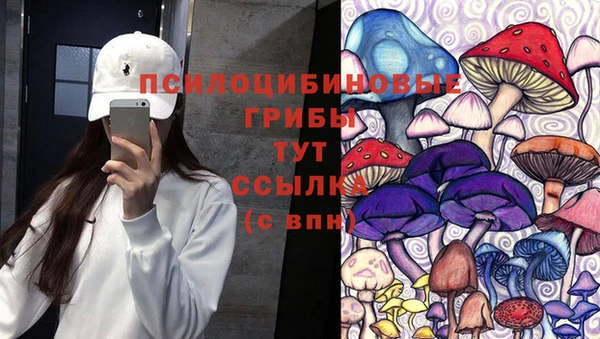 гидра Баксан