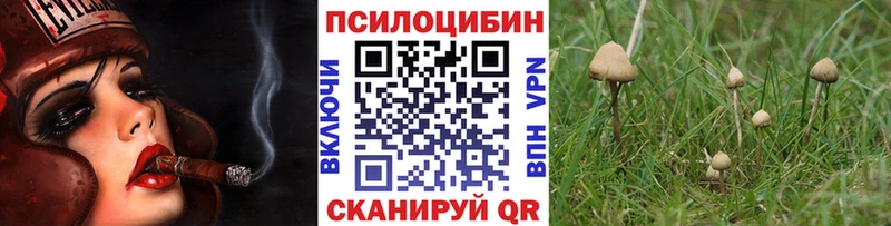 Галлюциногенные грибы мухоморы Чердынь